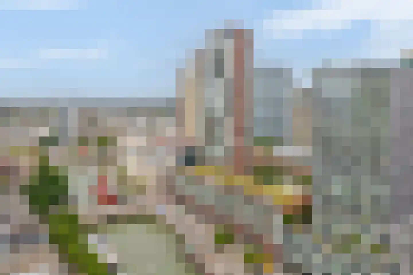 Wijnbrugstraat 267 Rotterdam thumbnail 28