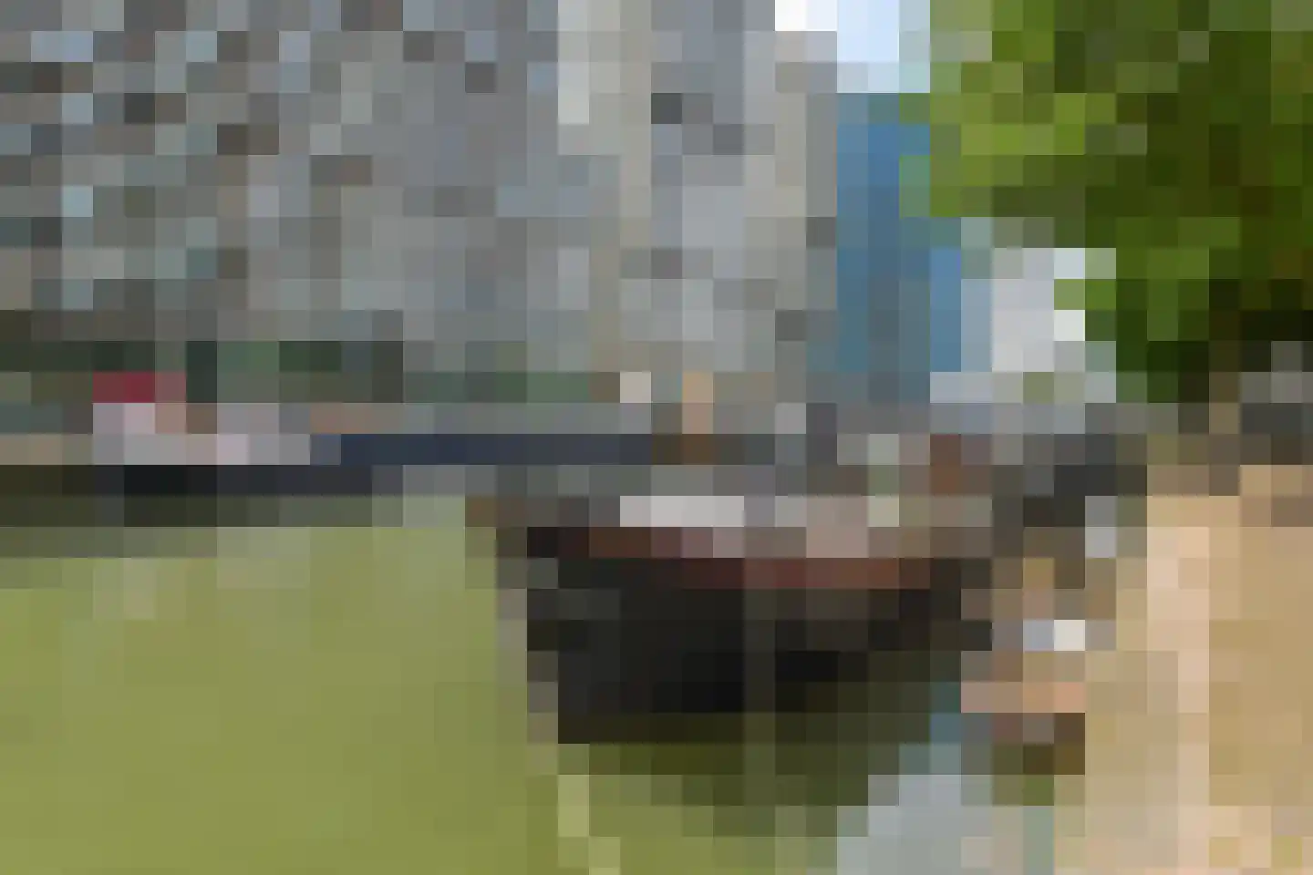 Wijnbrugstraat 268 Rotterdam thumbnail 25