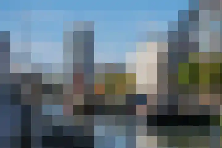 Wijnbrugstraat 293 Rotterdam thumbnail 32