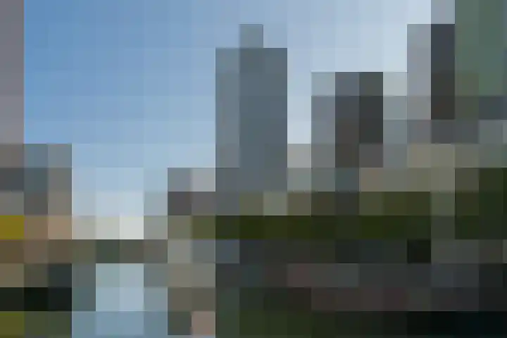 Wijnbrugstraat 293 Rotterdam thumbnail 8
