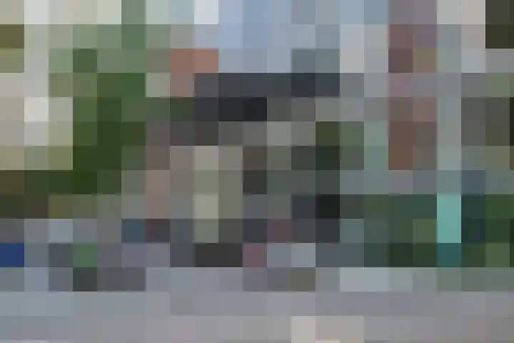 Wijnbrugstraat 293 Rotterdam thumbnail 9