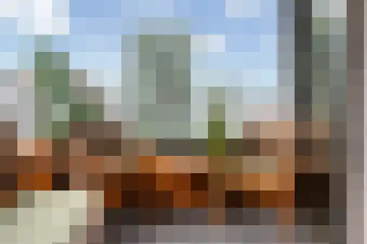 Wijnbrugstraat 295 Rotterdam thumbnail 10