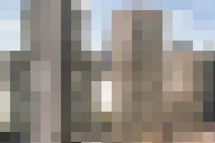 Wijnbrugstraat 295 Rotterdam thumbnail 50