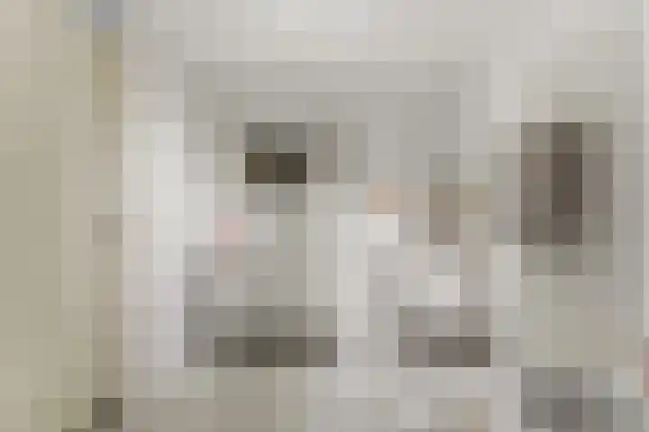Wijnbrugstraat 303 Rotterdam thumbnail 33