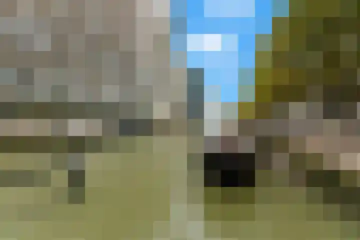 Wijnbrugstraat 303 Rotterdam thumbnail 41