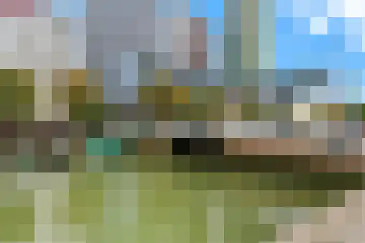 Wijnbrugstraat 303 Rotterdam thumbnail 43