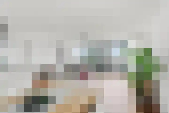 Wijnbrugstraat 303 Rotterdam thumbnail 7