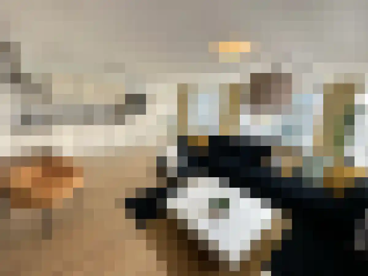 Wijnbrugstraat 305 Rotterdam thumbnail 4