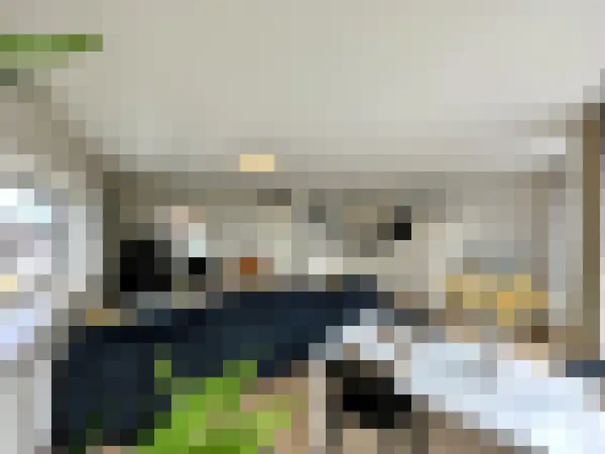Wijnbrugstraat 305 Rotterdam thumbnail 5