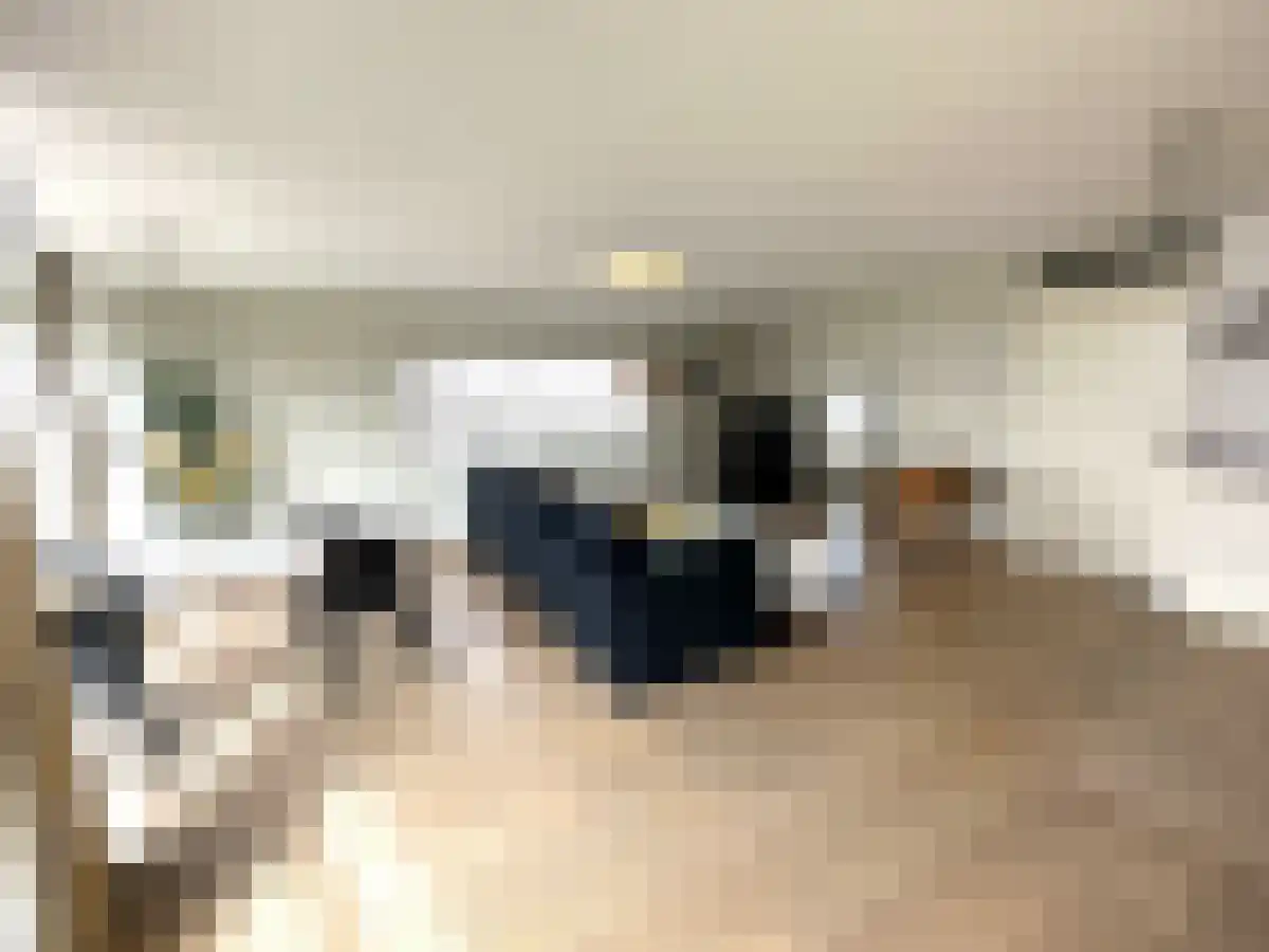 Wijnbrugstraat 305 Rotterdam thumbnail 6