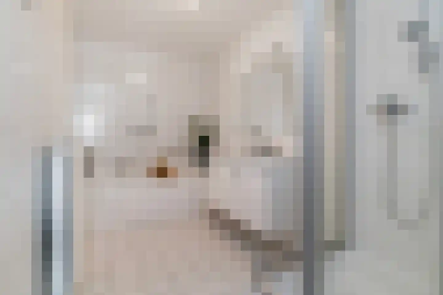 Wijnbrugstraat 321 Rotterdam thumbnail 19