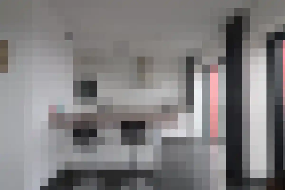 Wijnbrugstraat 334 Rotterdam thumbnail 6