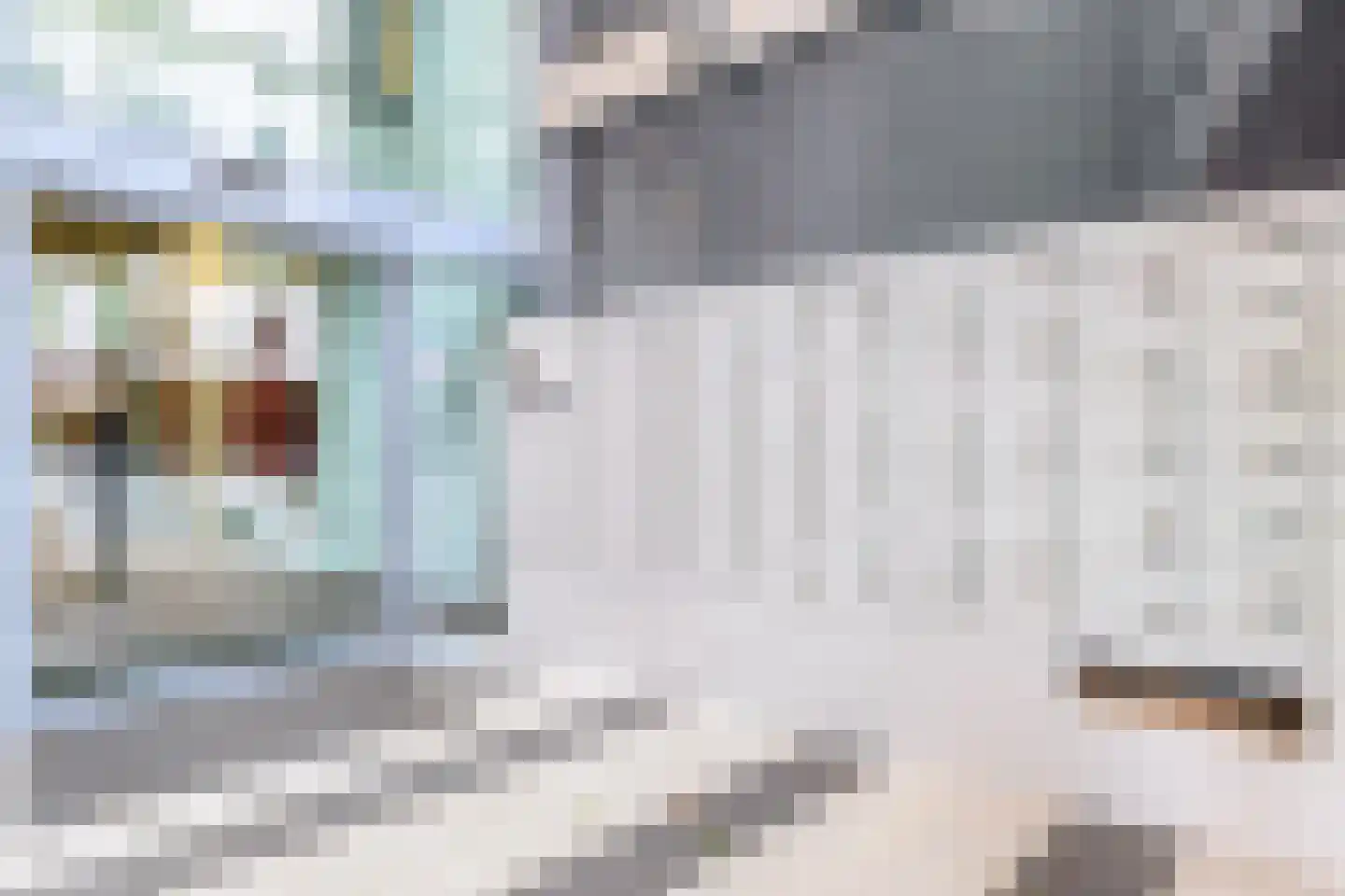 Wijnbrugstraat 357 Rotterdam thumbnail 11