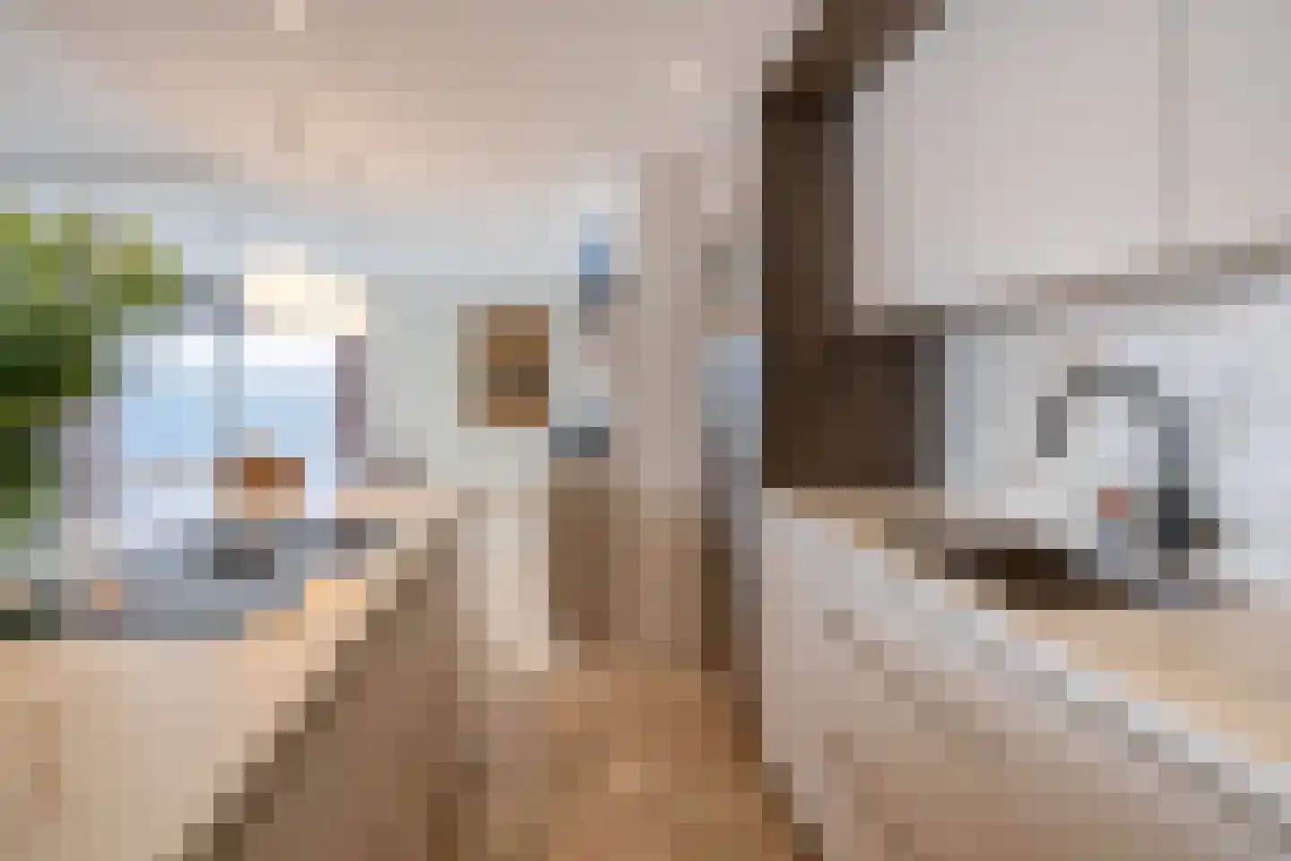 Wijnbrugstraat 357 Rotterdam thumbnail 19