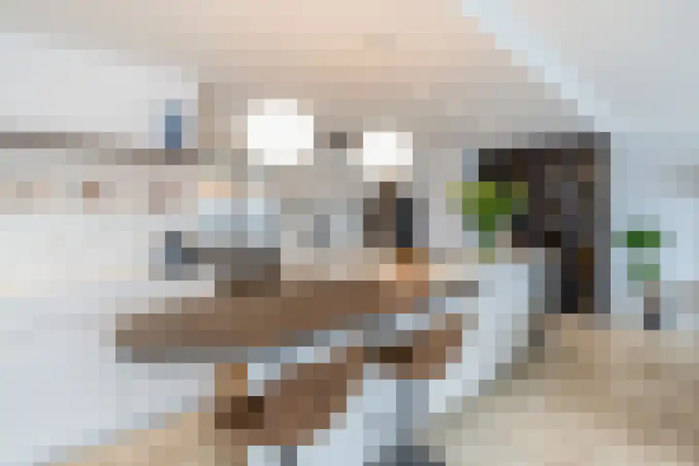 Wijnbrugstraat 357 Rotterdam thumbnail 4