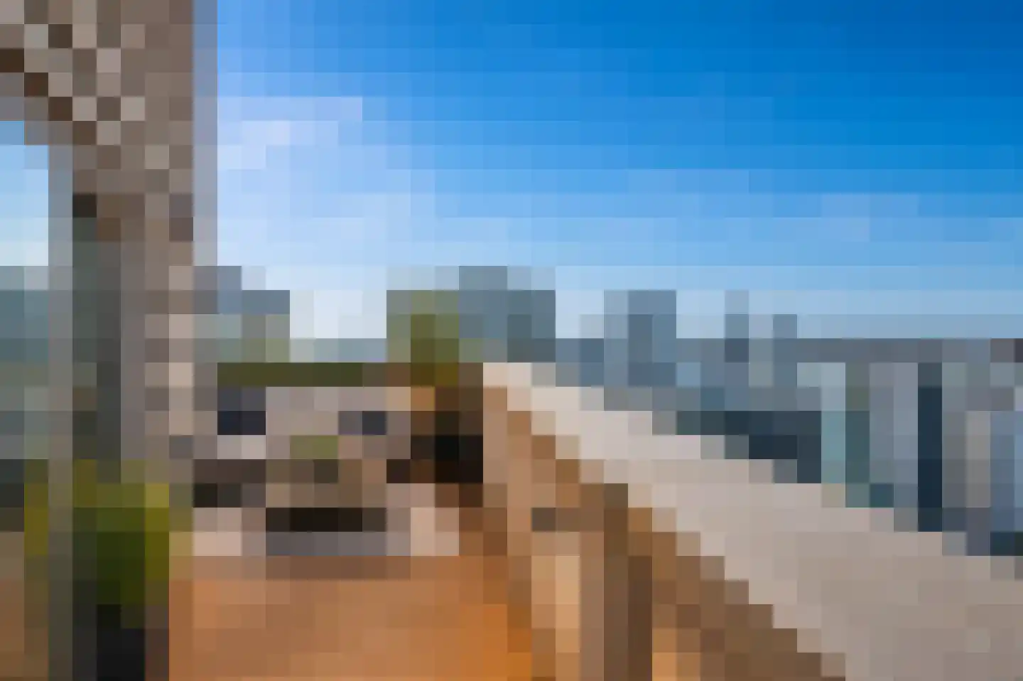 Wijnbrugstraat 357 Rotterdam thumbnail 6