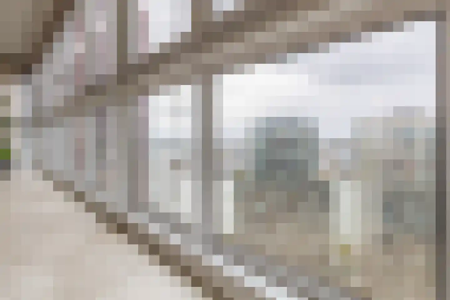 Wijnbrugstraat 357 Rotterdam thumbnail 7