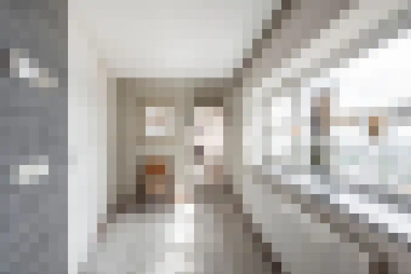Wijnbrugstraat 363 Rotterdam thumbnail 11