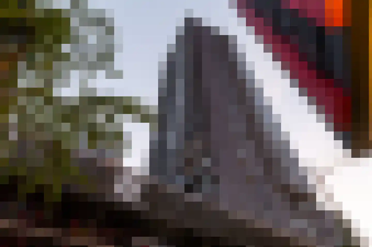 Wijnbrugstraat 363 Rotterdam thumbnail 22