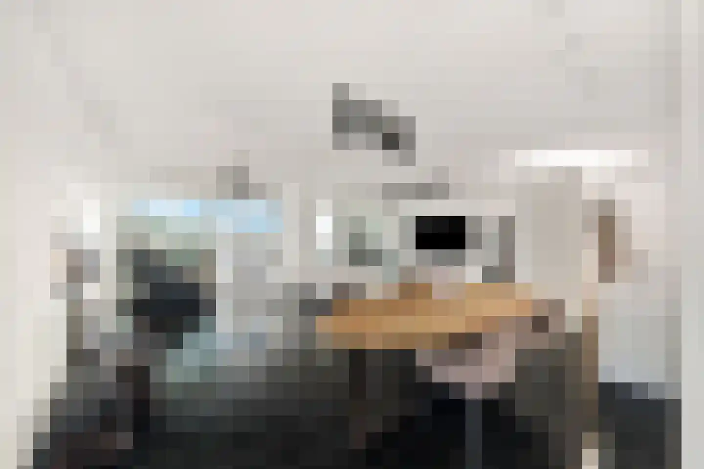 Wijnbrugstraat 367 Rotterdam thumbnail 11