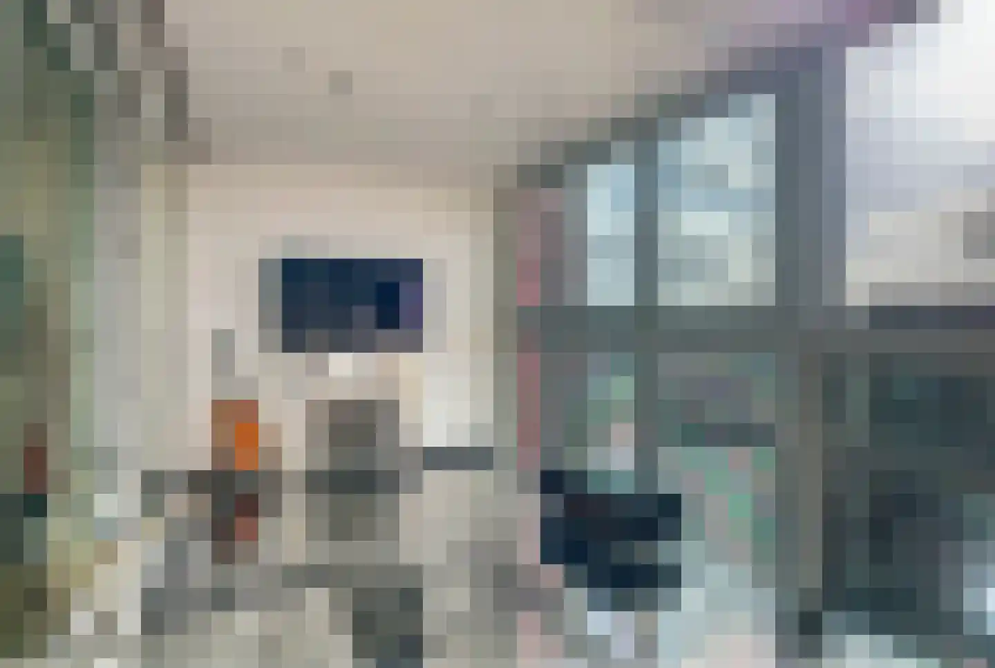 Wijnbrugstraat 367 Rotterdam thumbnail 16