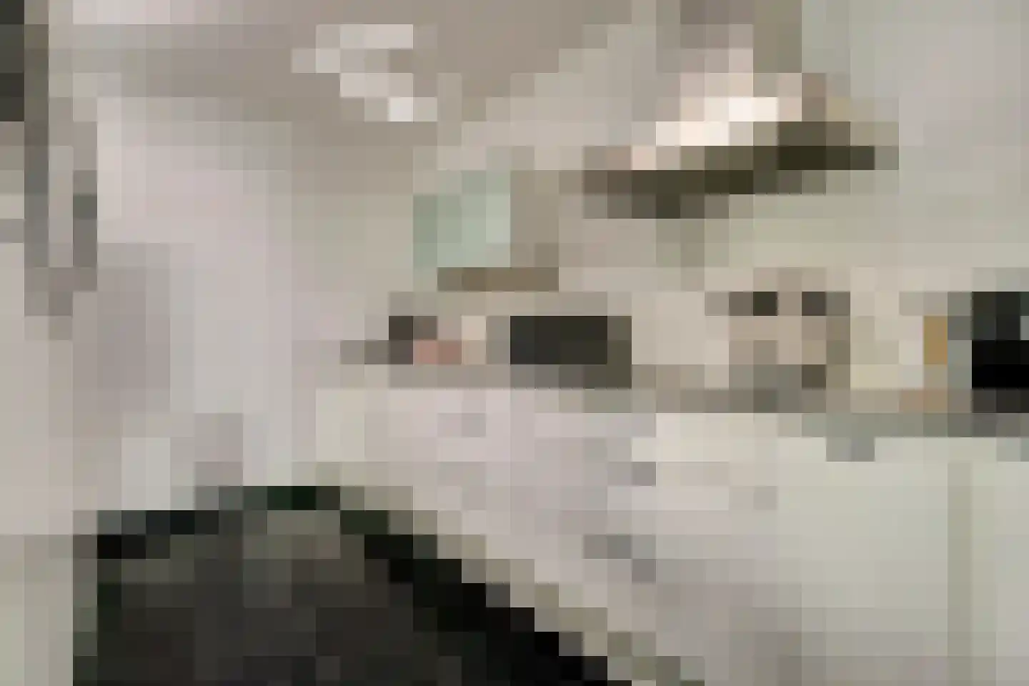 Wijnbrugstraat 367 Rotterdam thumbnail 21