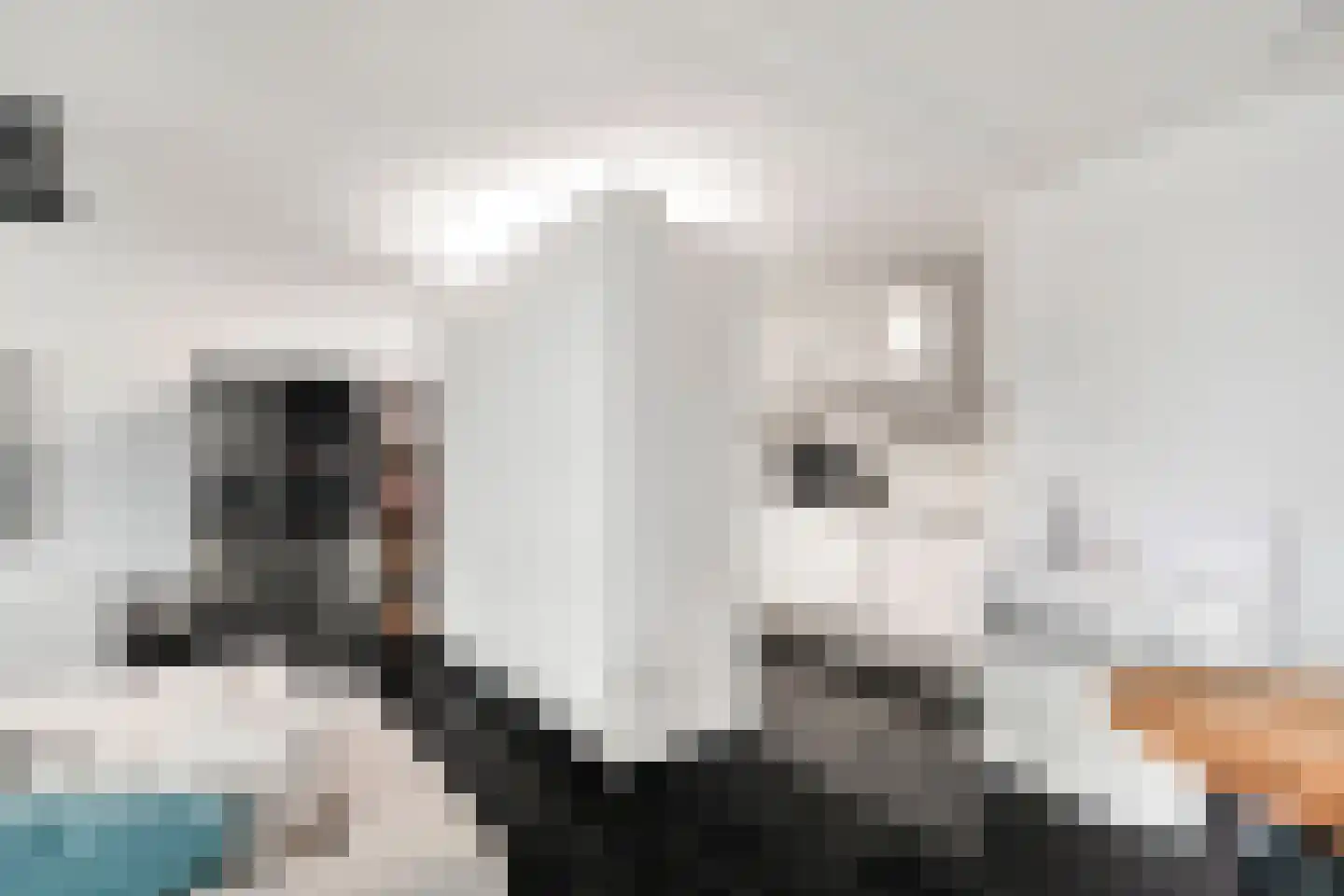 Wijnbrugstraat 367 Rotterdam thumbnail 21