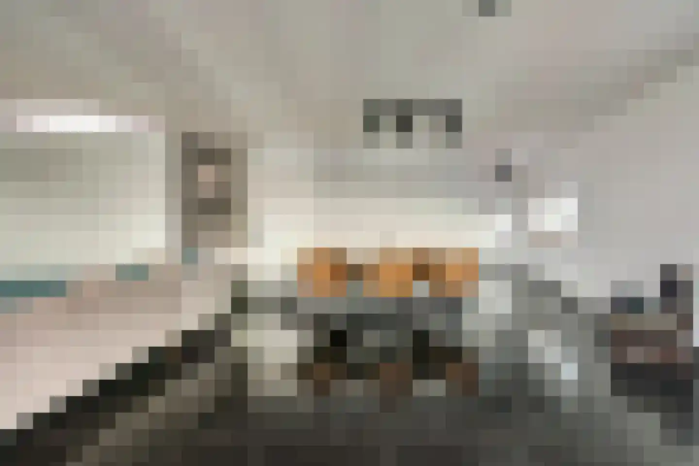 Wijnbrugstraat 367 Rotterdam thumbnail 23