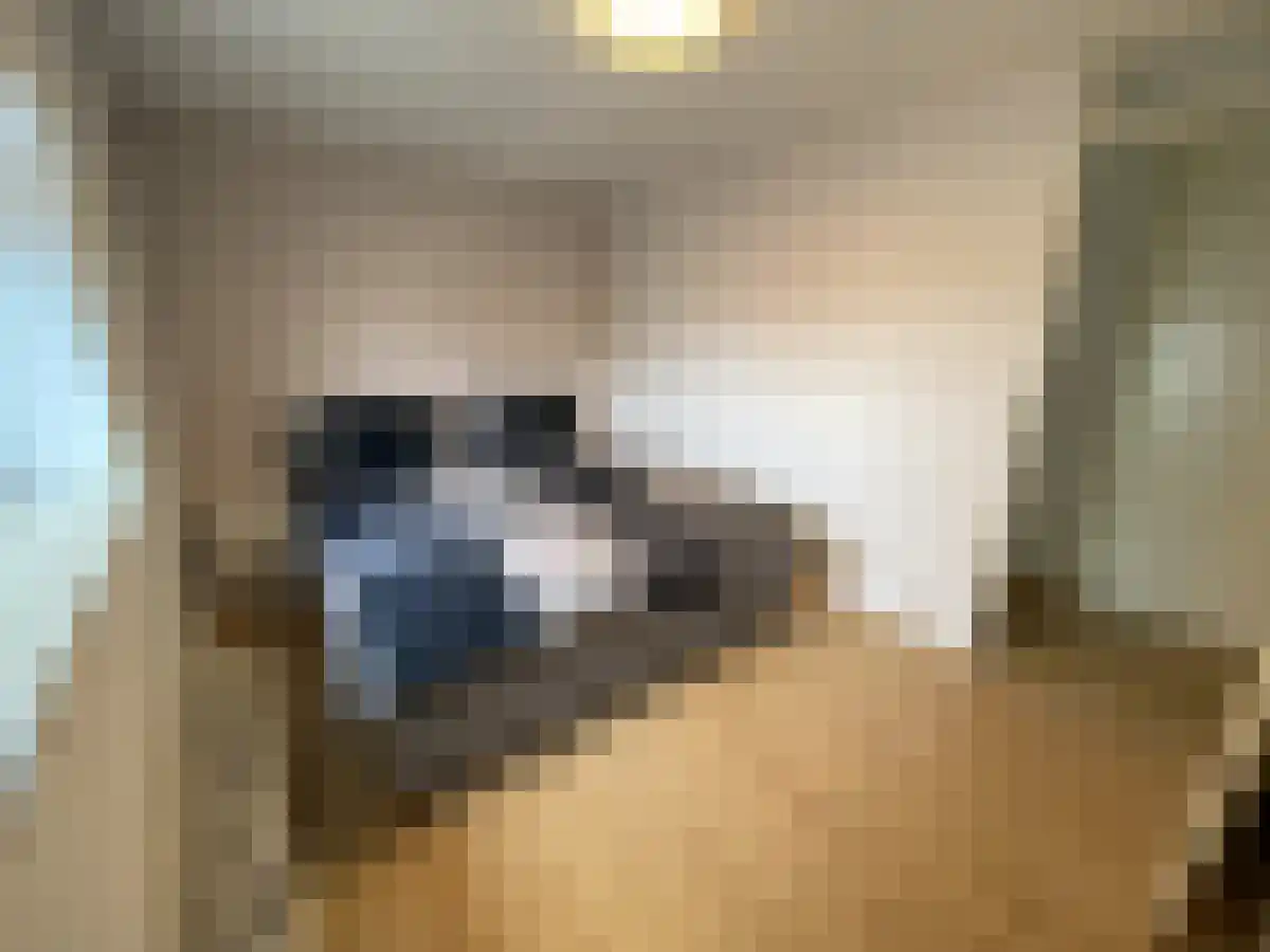 Wijnbrugstraat 49 Rotterdam thumbnail 6