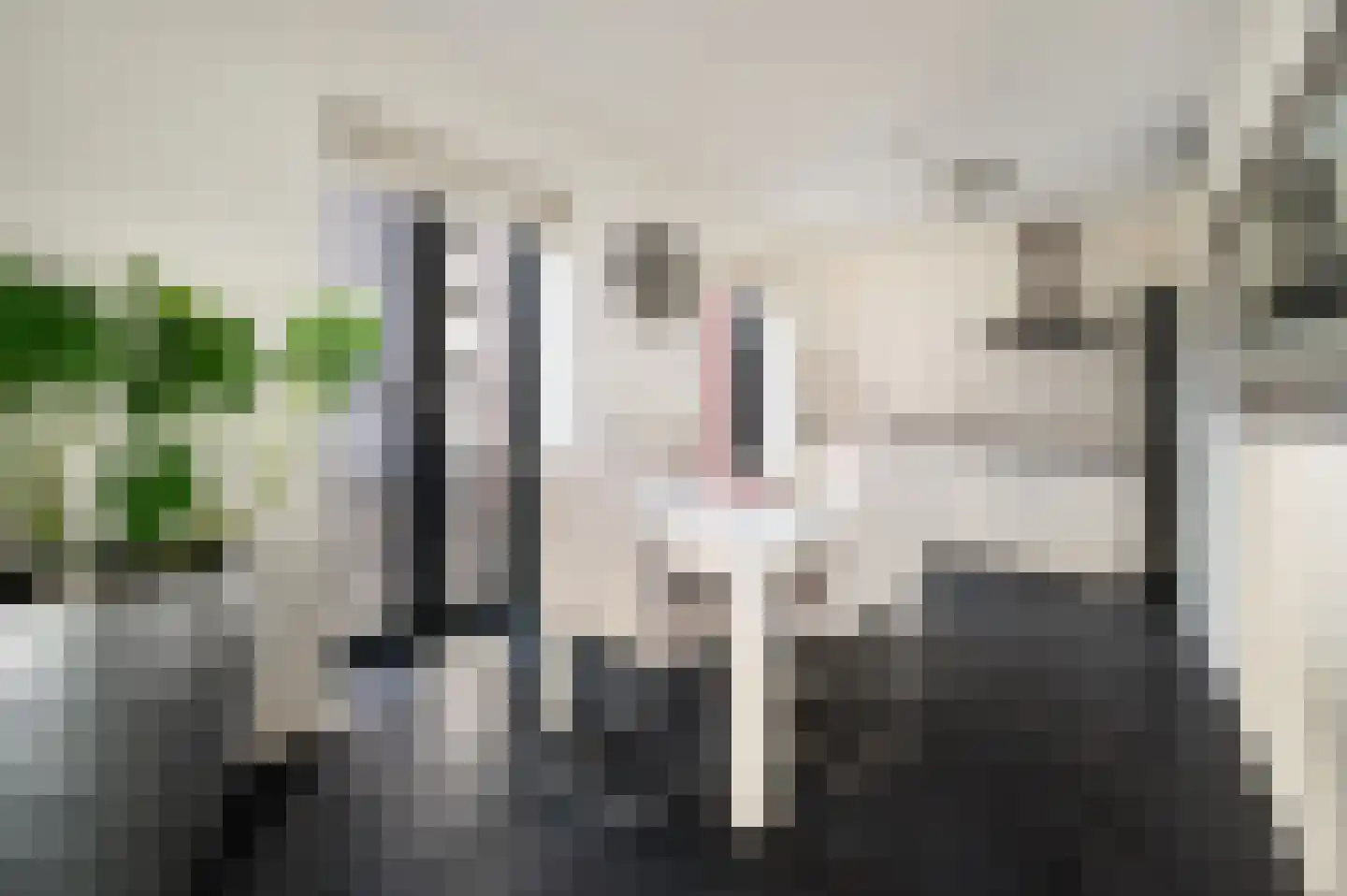 Wijnbrugstraat 54 Rotterdam thumbnail 7