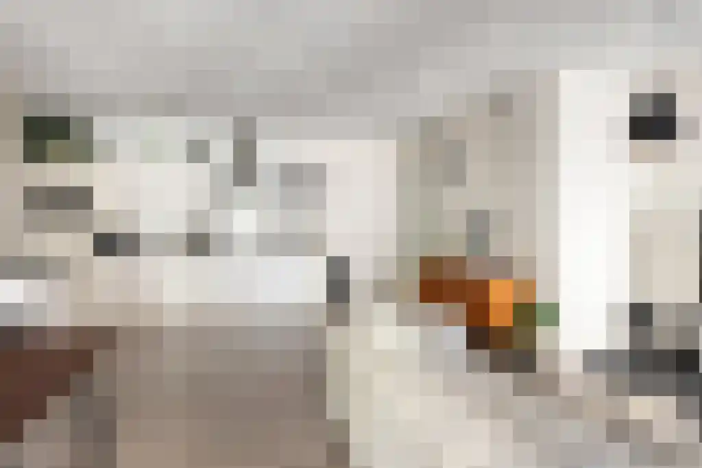 Wijnbrugstraat 64 Rotterdam thumbnail 4