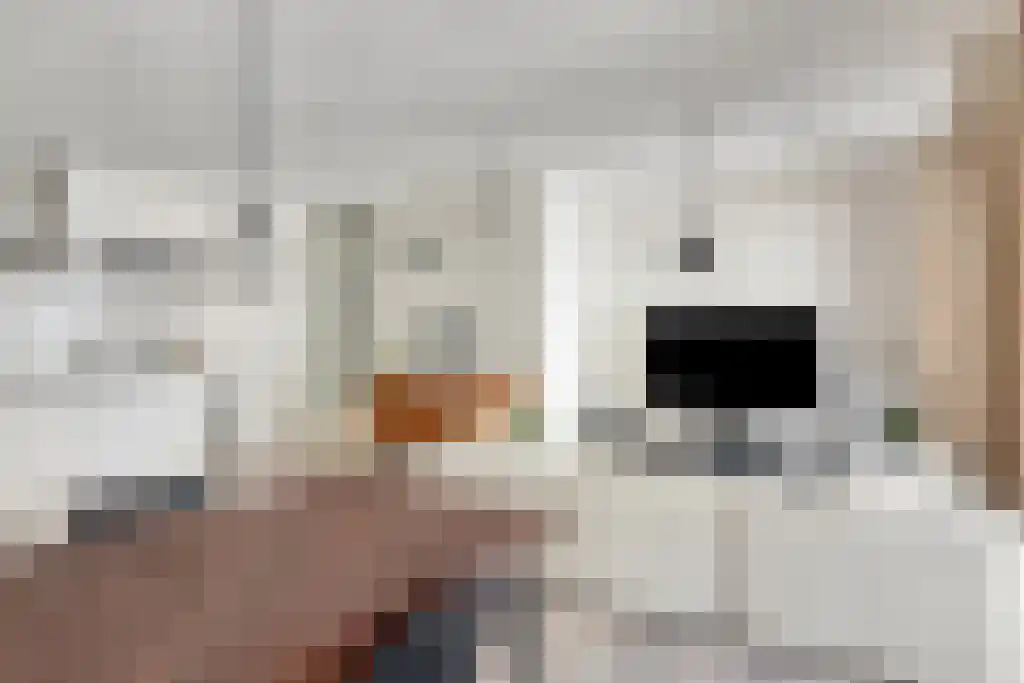 Wijnbrugstraat 64 Rotterdam thumbnail 5