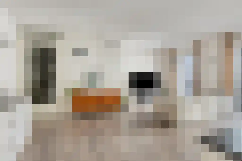 Wijnbrugstraat 64 Rotterdam thumbnail 6