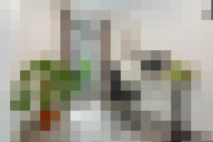 Wijnbrugstraat 66 Rotterdam thumbnail 15