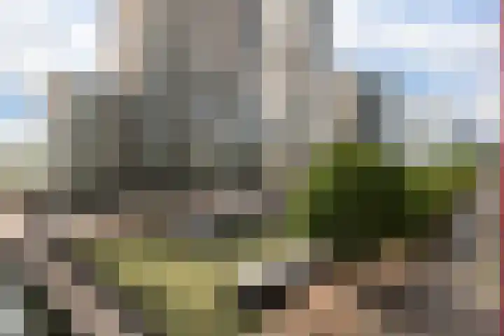 Wijnbrugstraat 66 Rotterdam thumbnail 16