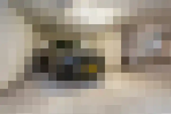 Wijnbrugstraat 66 Rotterdam thumbnail 19
