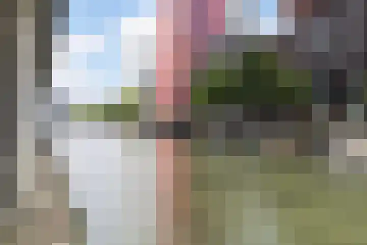 Wijnbrugstraat 66 Rotterdam thumbnail 22