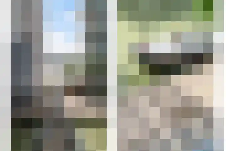 Wijnbrugstraat 66 Rotterdam thumbnail 8