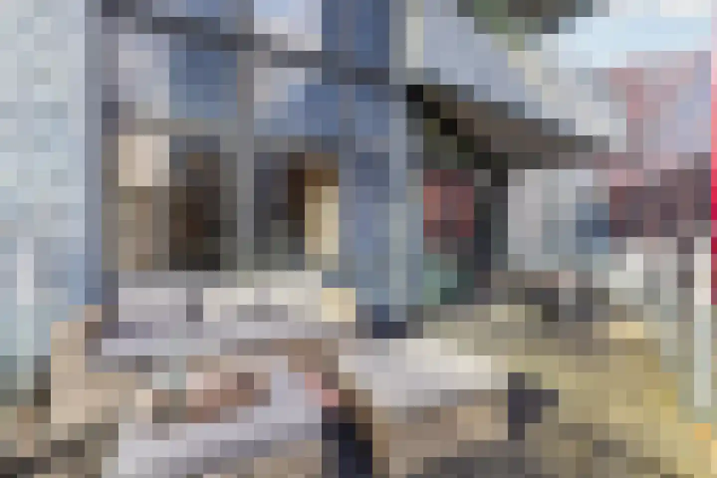Wijnbrugstraat 75 Rotterdam thumbnail 14