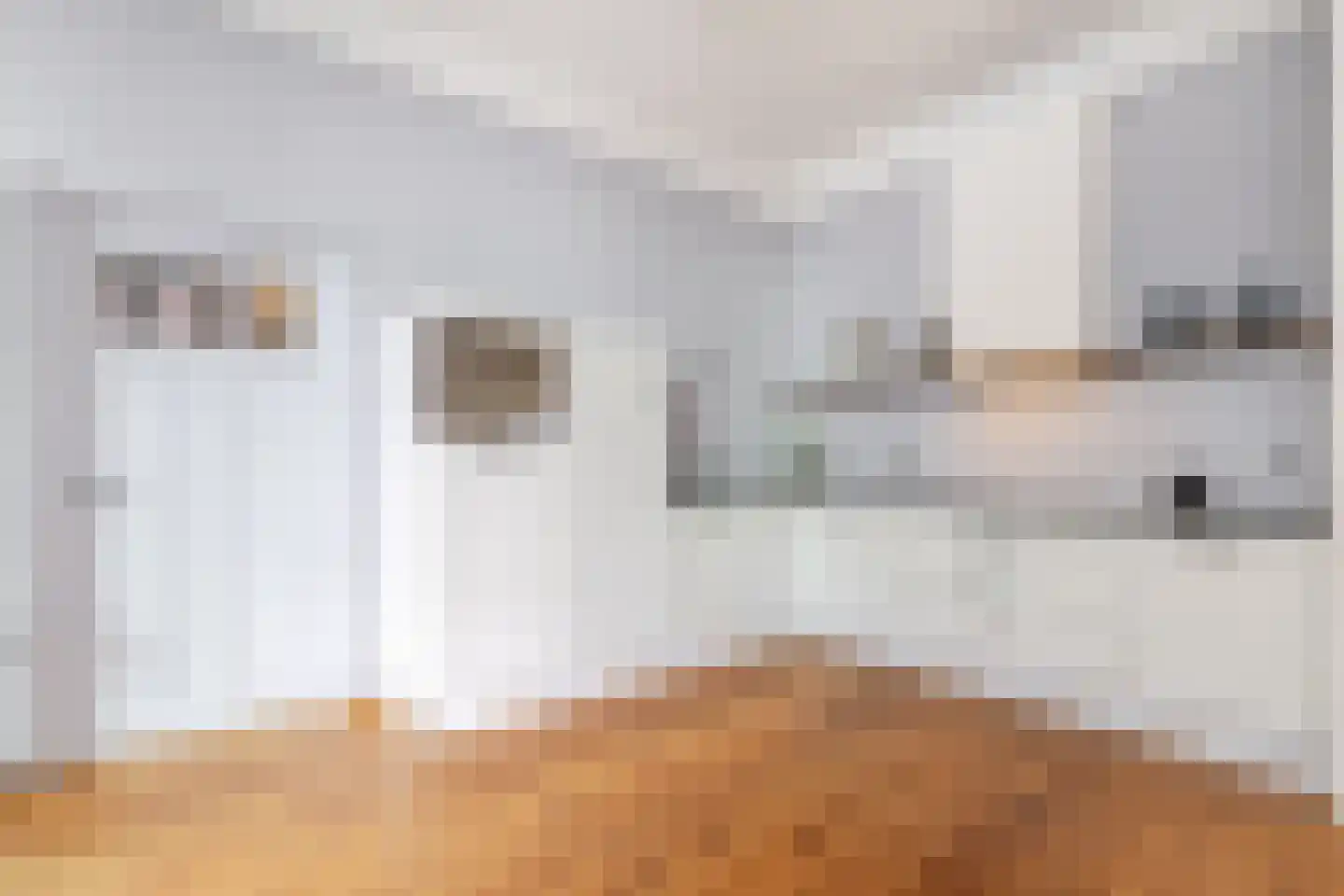 Wijnbrugstraat 75 Rotterdam thumbnail 18