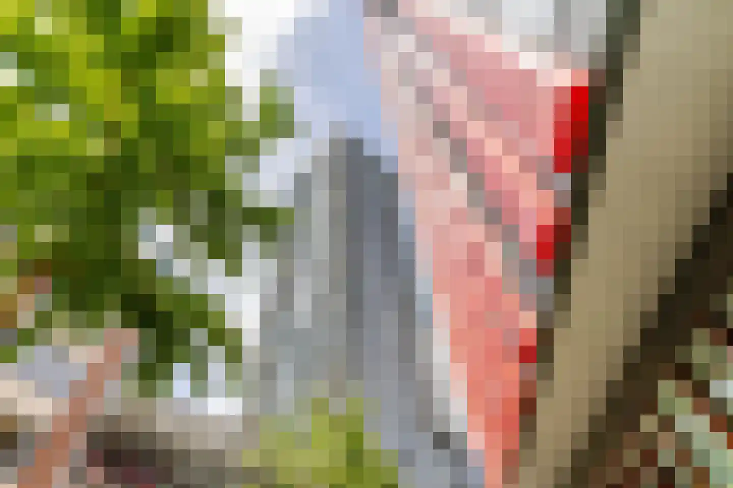 Wijnbrugstraat 75 Rotterdam thumbnail 36