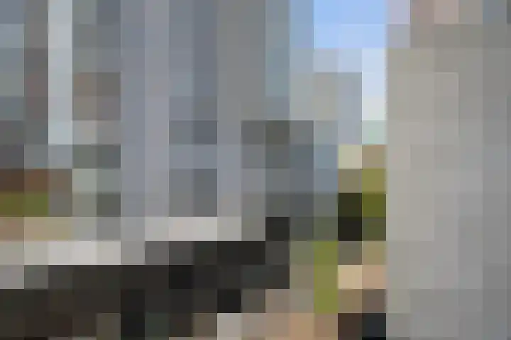 Wijnbrugstraat 80 Rotterdam thumbnail 17