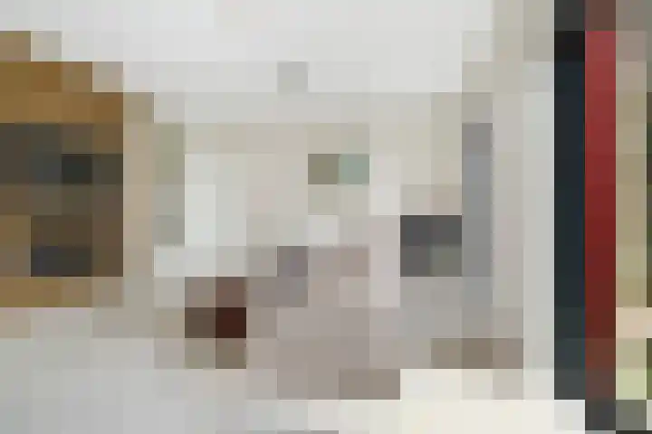 Wijnbrugstraat 94 Rotterdam thumbnail 30