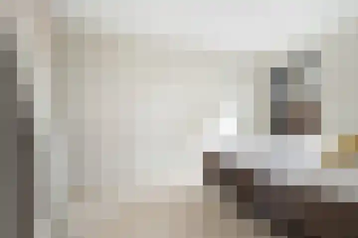 Wijnbrugstraat 94 Rotterdam thumbnail 31
