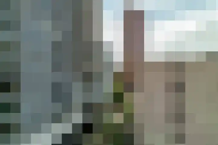 Wijnbrugstraat 94 Rotterdam thumbnail 37