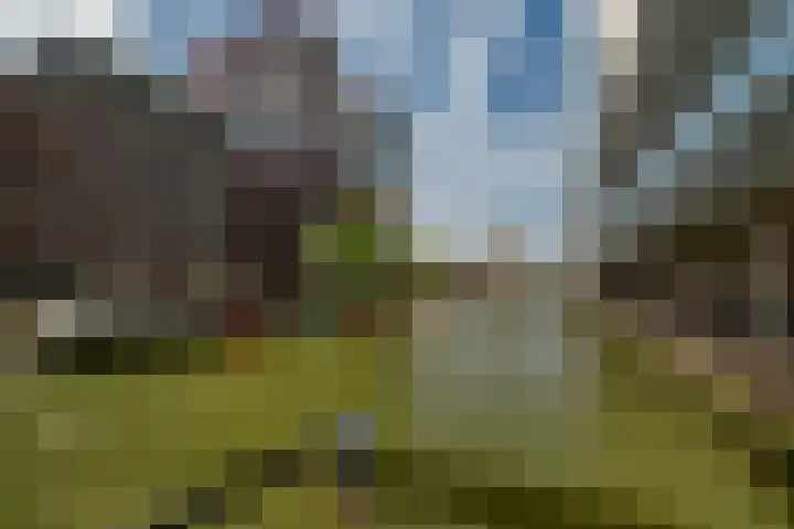 Wijnbrugstraat 94 Rotterdam thumbnail 39