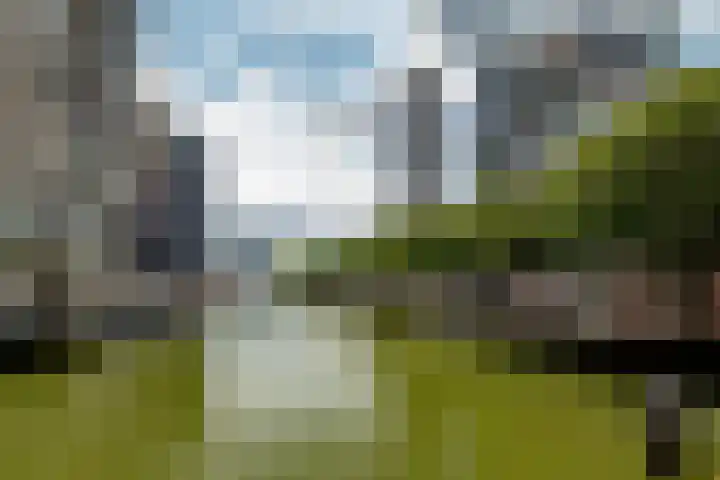 Wijnbrugstraat 94 Rotterdam thumbnail 40