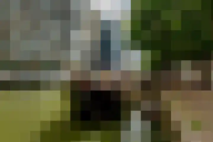 Wijnbrugstraat 94 Rotterdam thumbnail 41