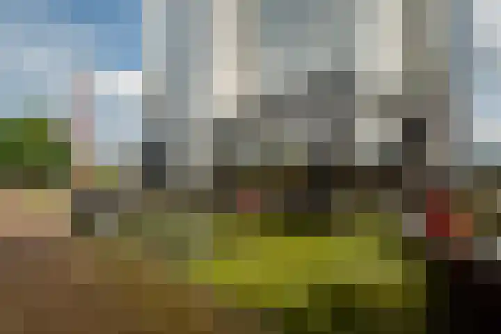 Wijnbrugstraat 94 Rotterdam thumbnail 42