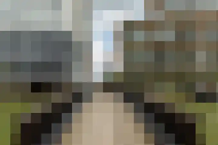 Wijnbrugstraat 94 Rotterdam thumbnail 43